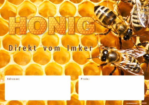 plakat-a3-1